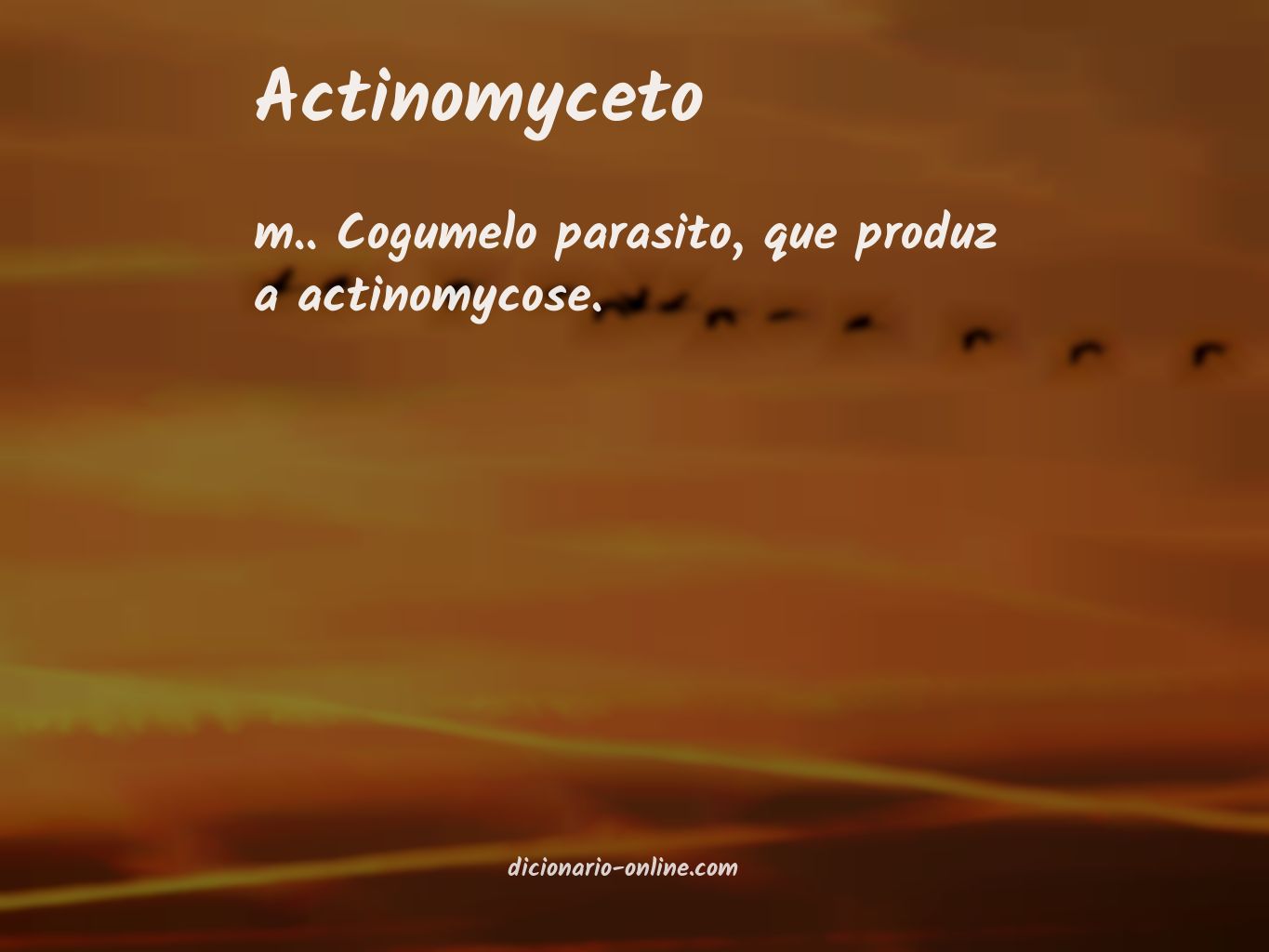 Significado de actinomyceto