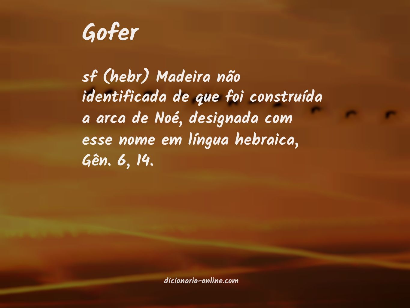 Significado de gofer