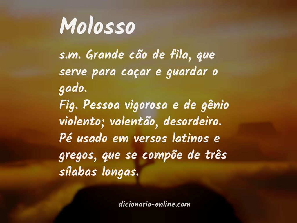 Significado de molosso