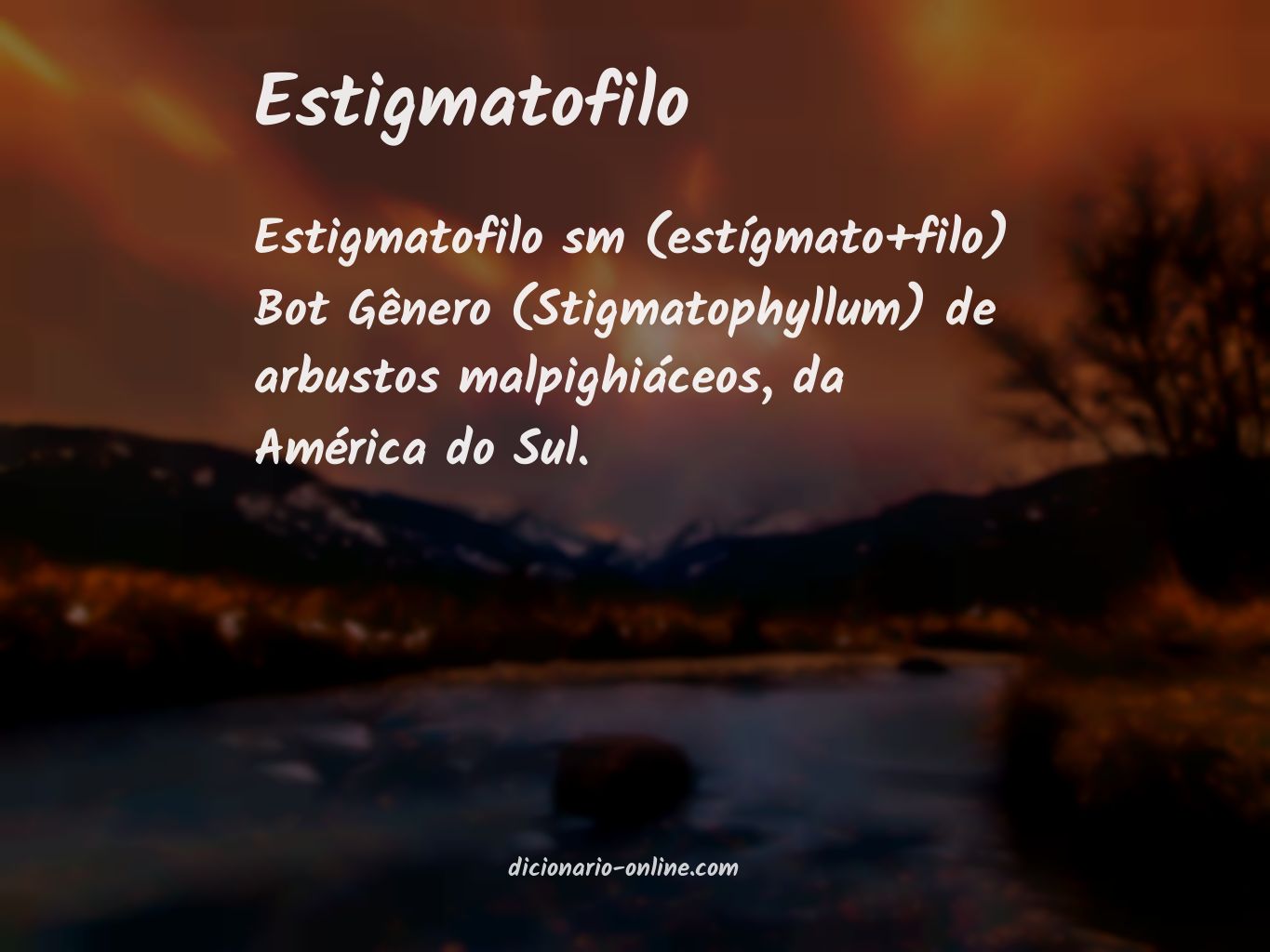 Significado de estigmatofilo