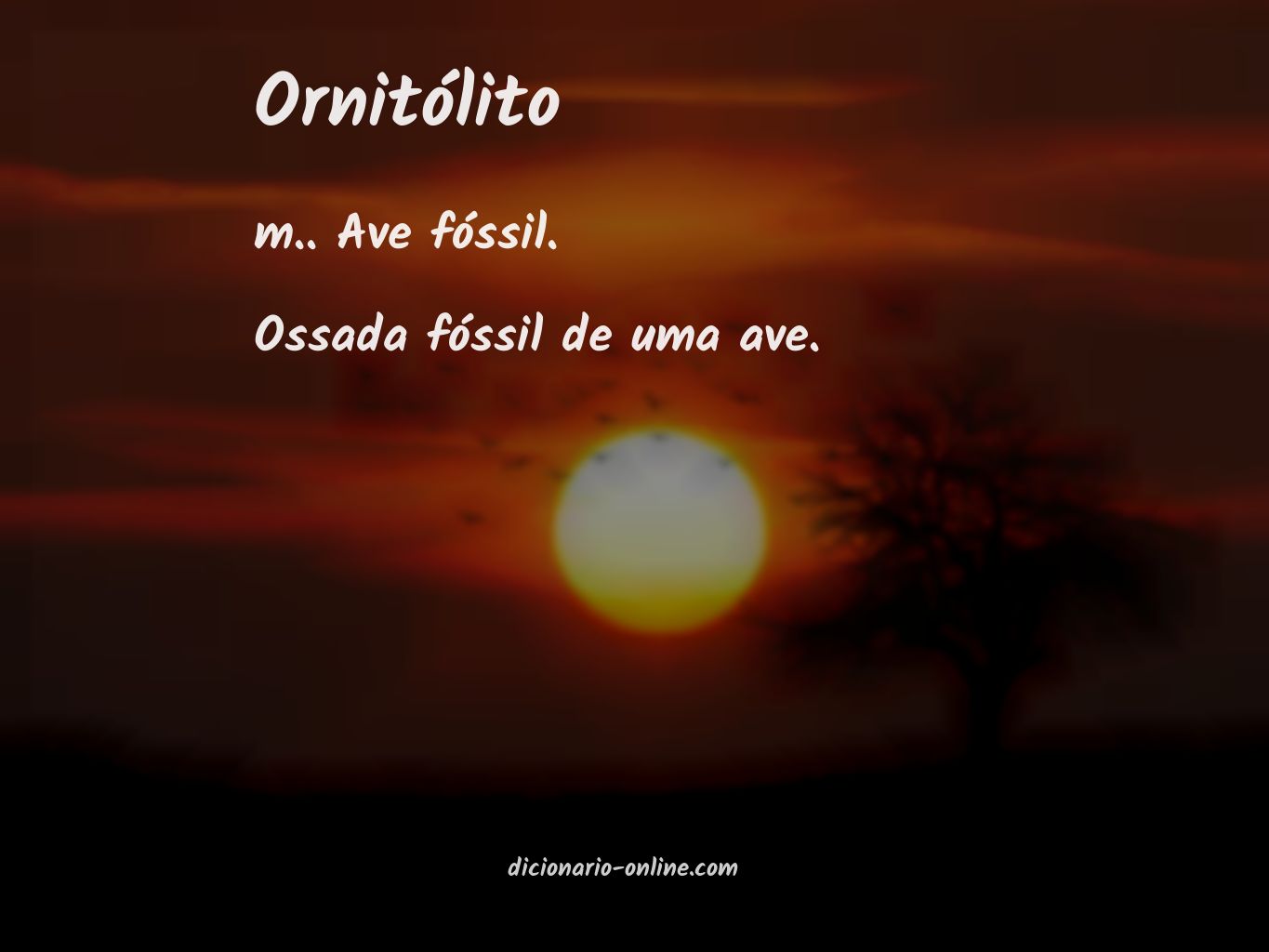 Significado de ornitólito