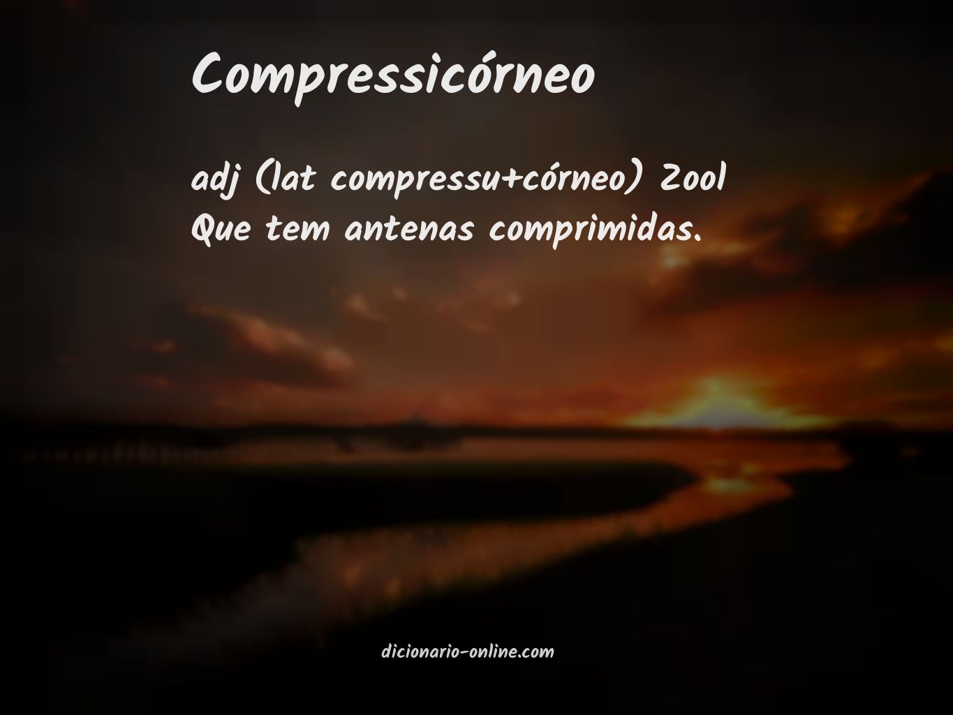 Significado de compressicórneo