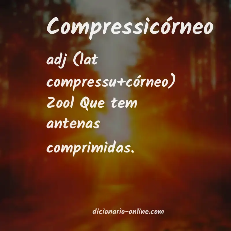 Significado de compressicórneo