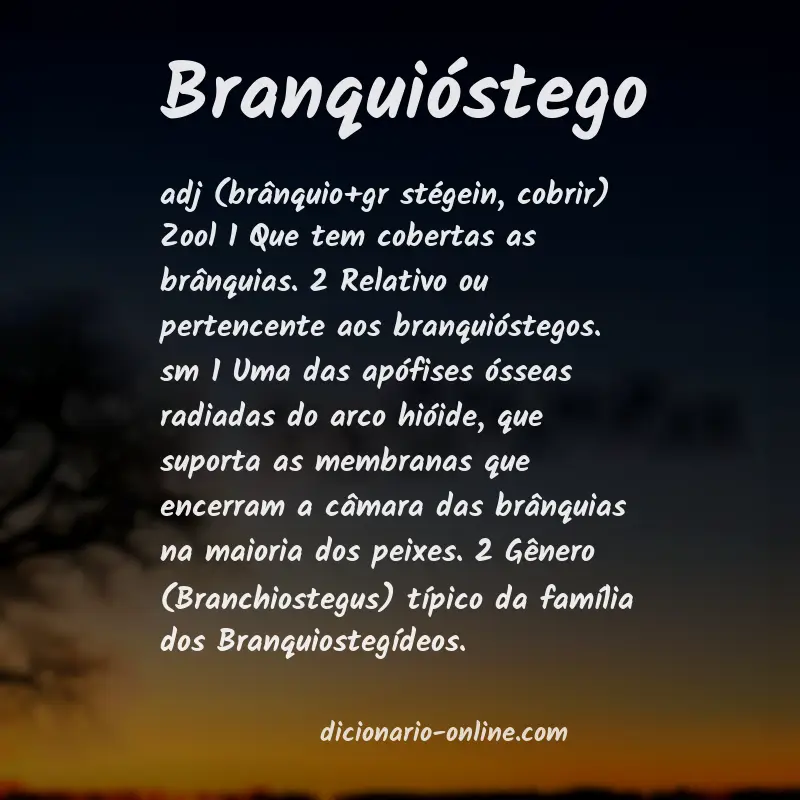 Significado de branquióstego