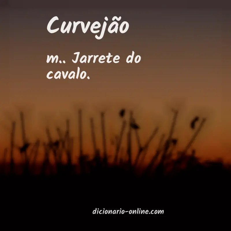 Significado de curvejão