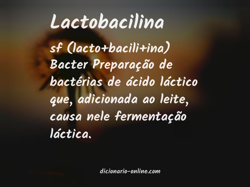 Significado de lactobacilina