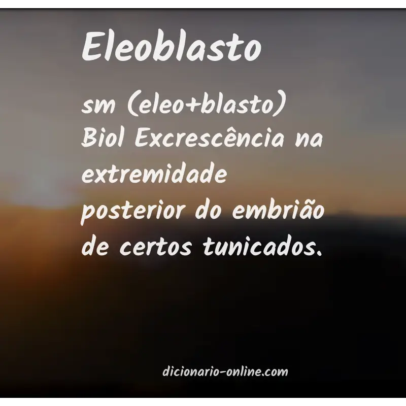 Significado de eleoblasto