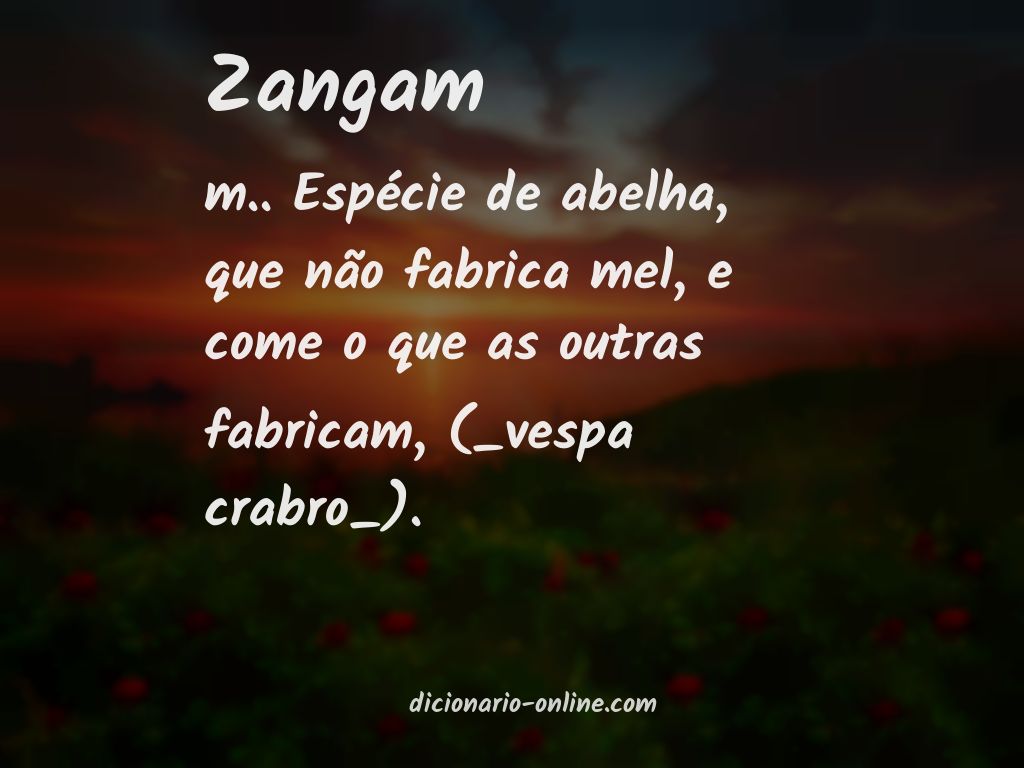 Significado de zangam