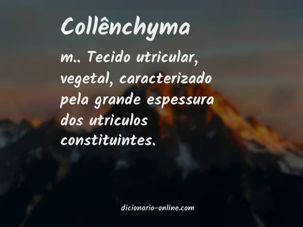 Significado de collênchyma