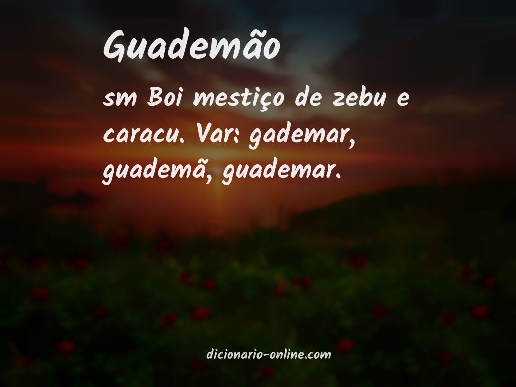 Significado de guademão