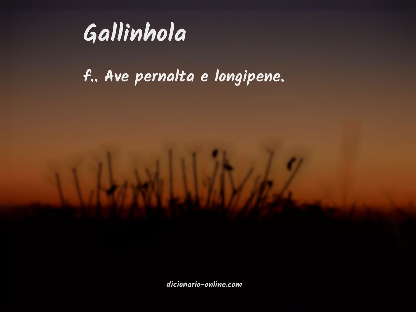 Significado de gallinhola