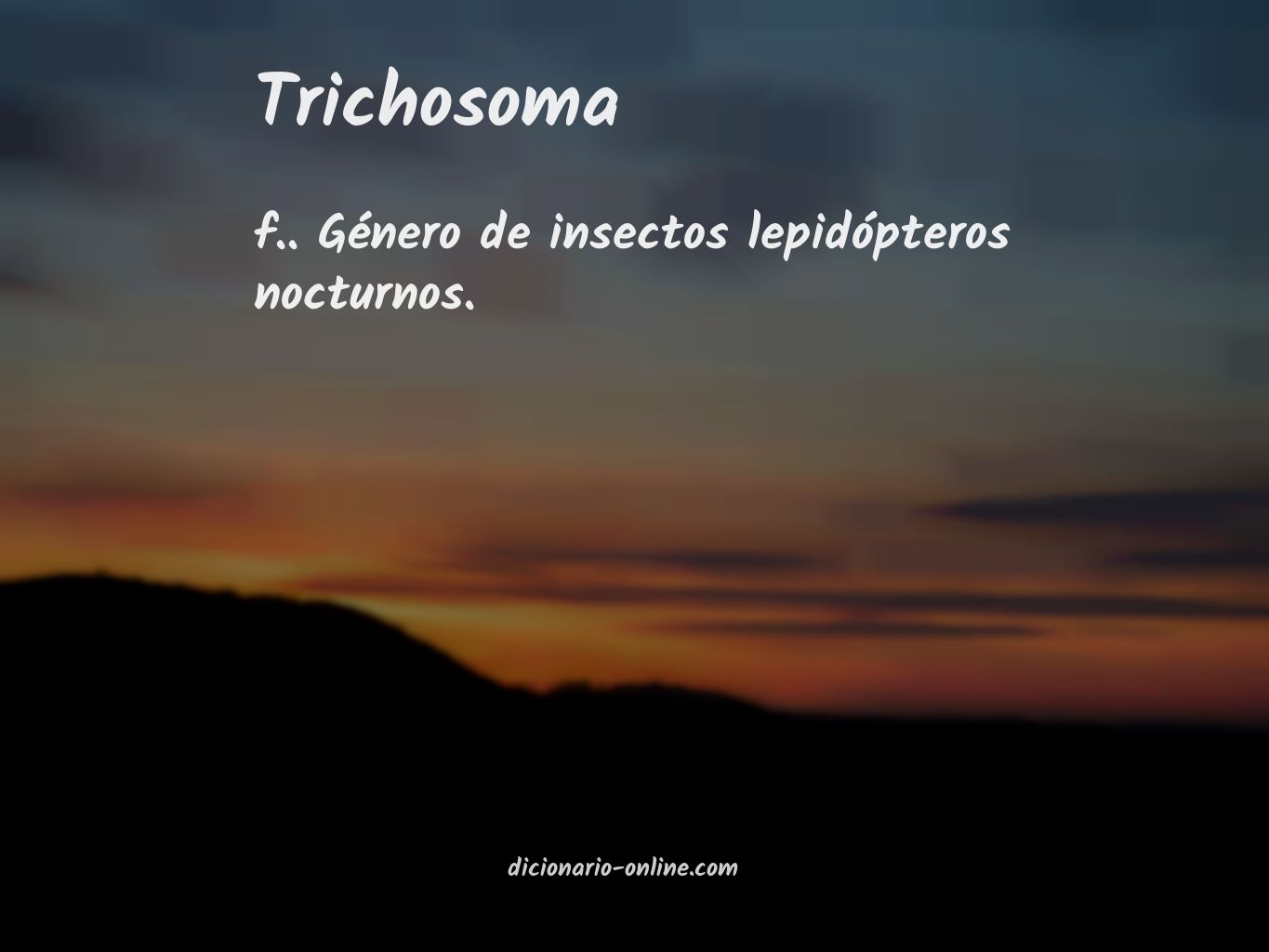 Significado de trichosoma
