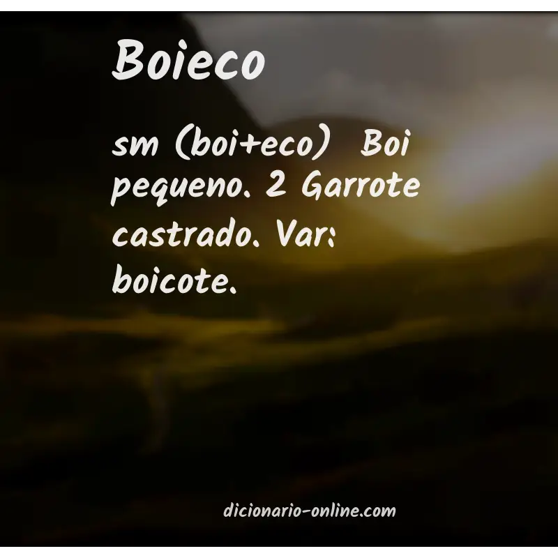Significado de boieco