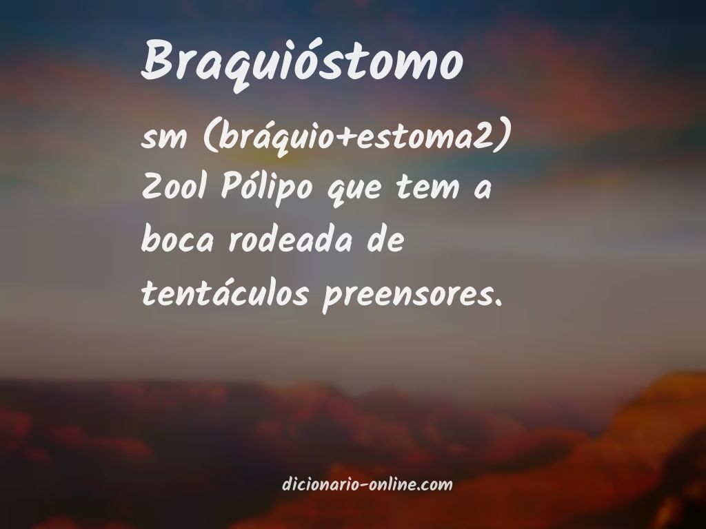 Significado de braquióstomo