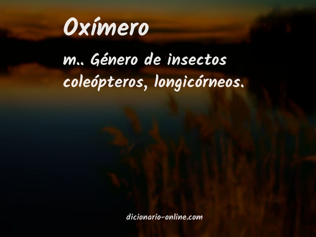 Significado de oxímero