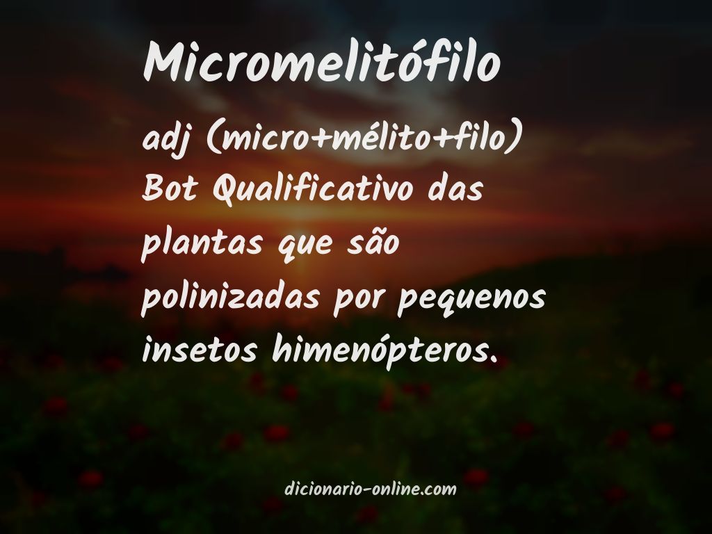 Significado de micromelitófilo