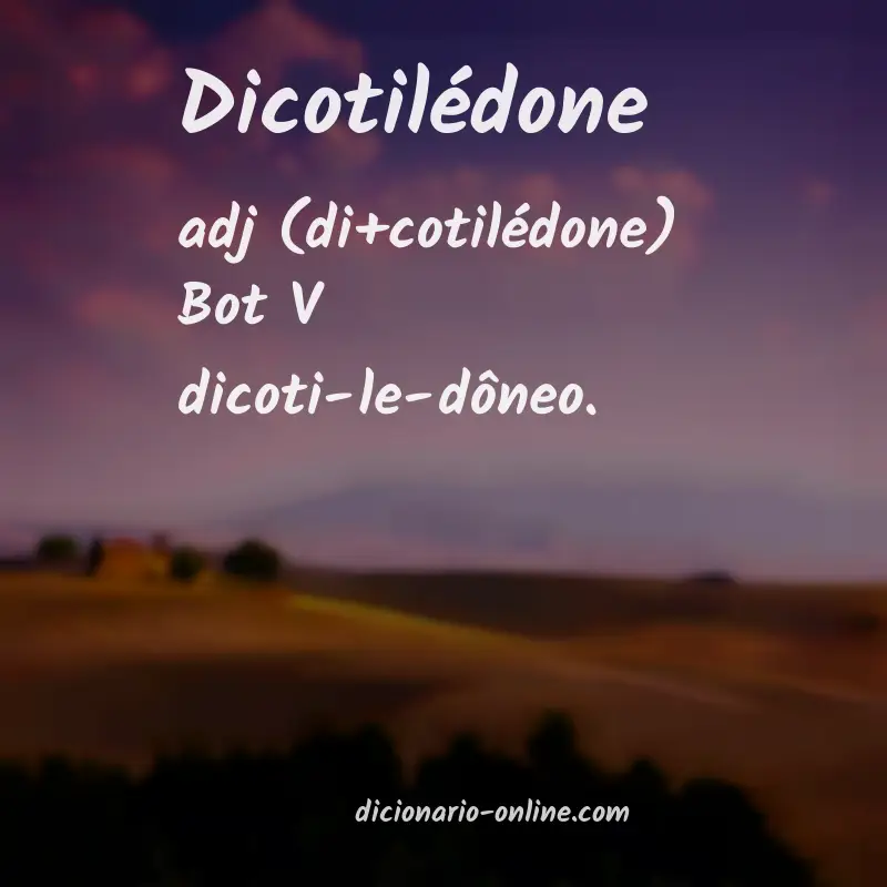 Significado de dicotilédone