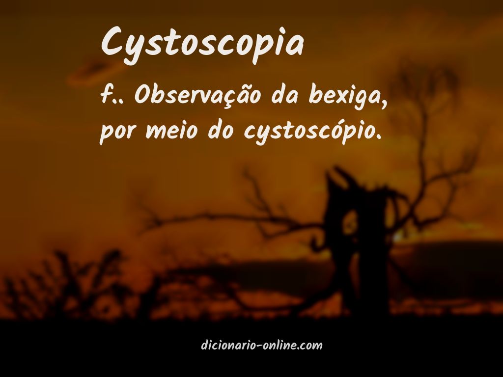 Significado de cystoscopia