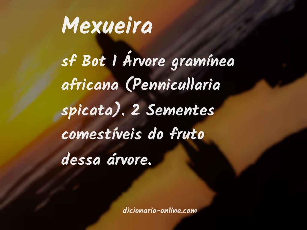 Significado de mexueira