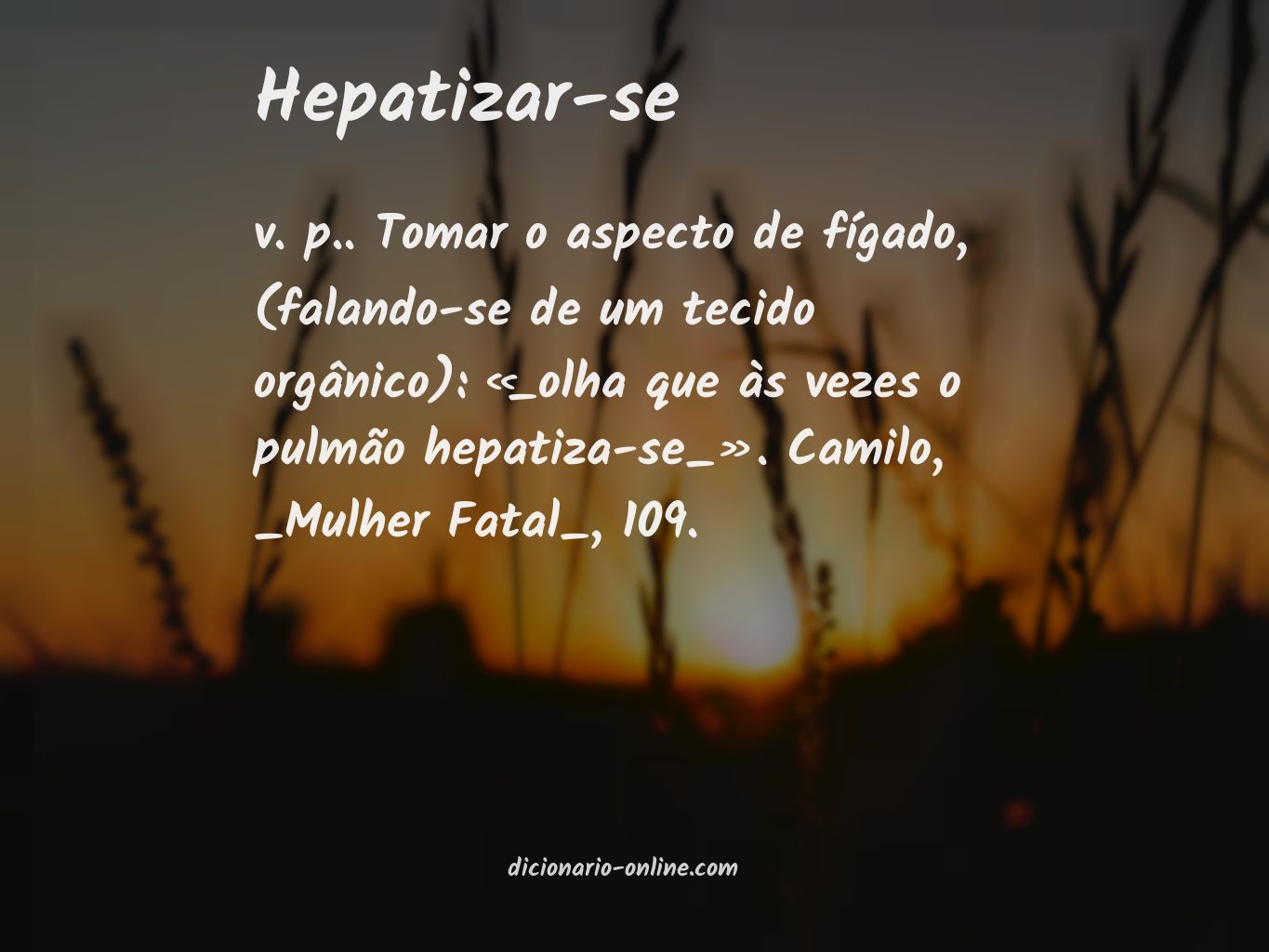 Significado de hepatizar-se