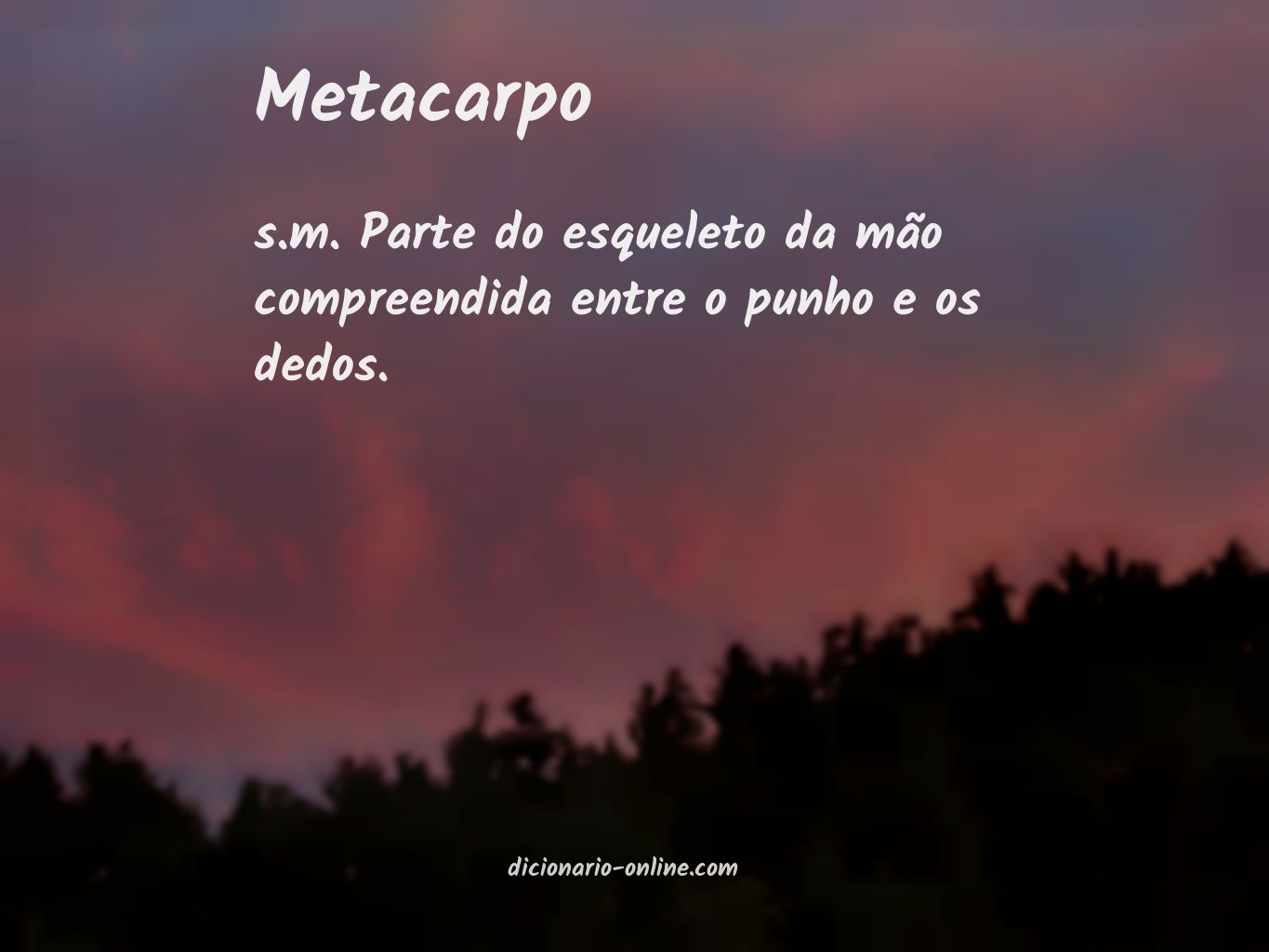 Significado de metacarpo