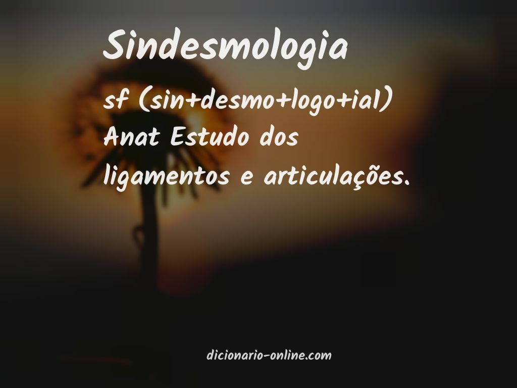 Significado de sindesmologia