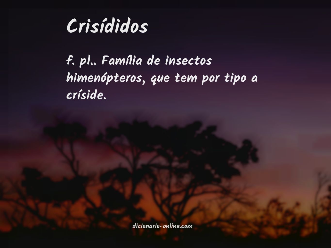 Significado de crisídidos