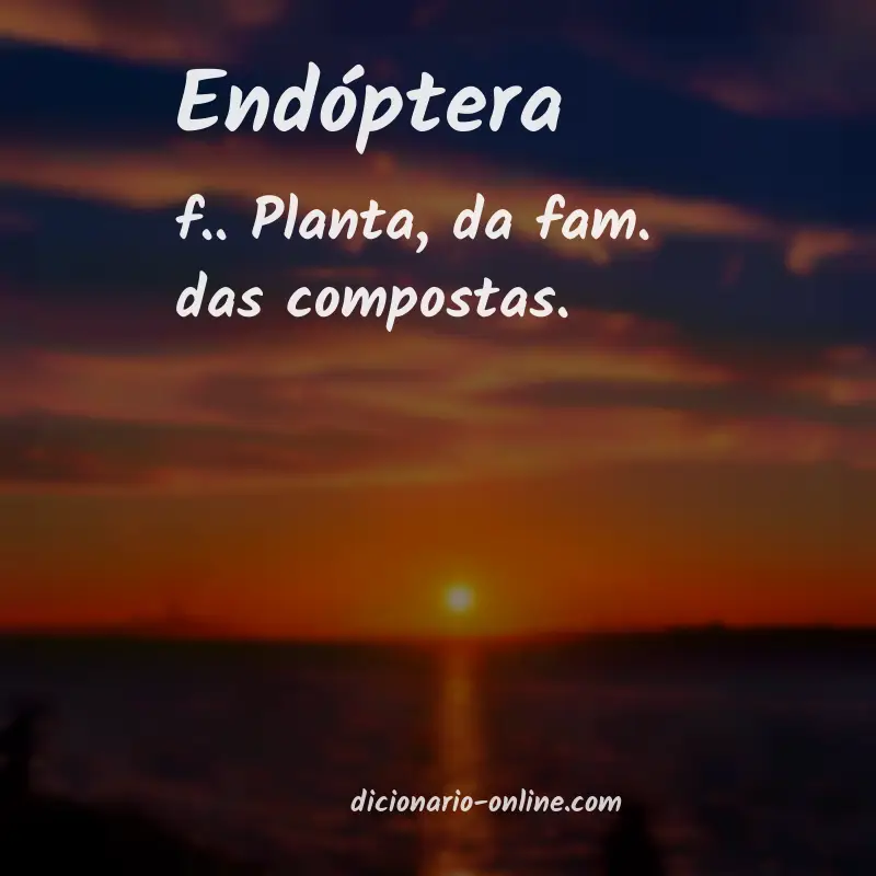 Significado de endóptera