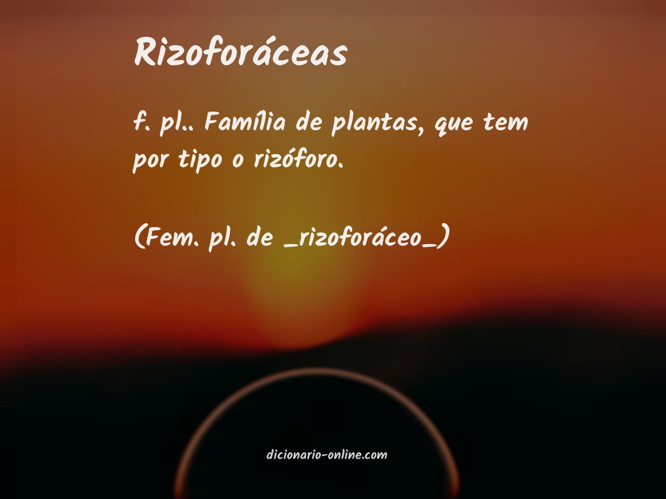 Significado de rizoforáceas