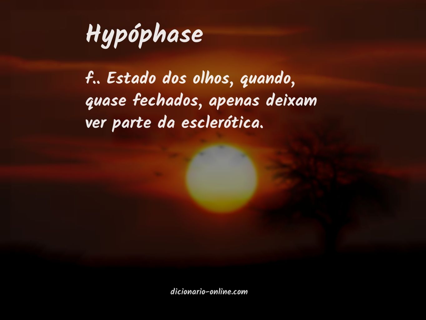 Significado de hypóphase