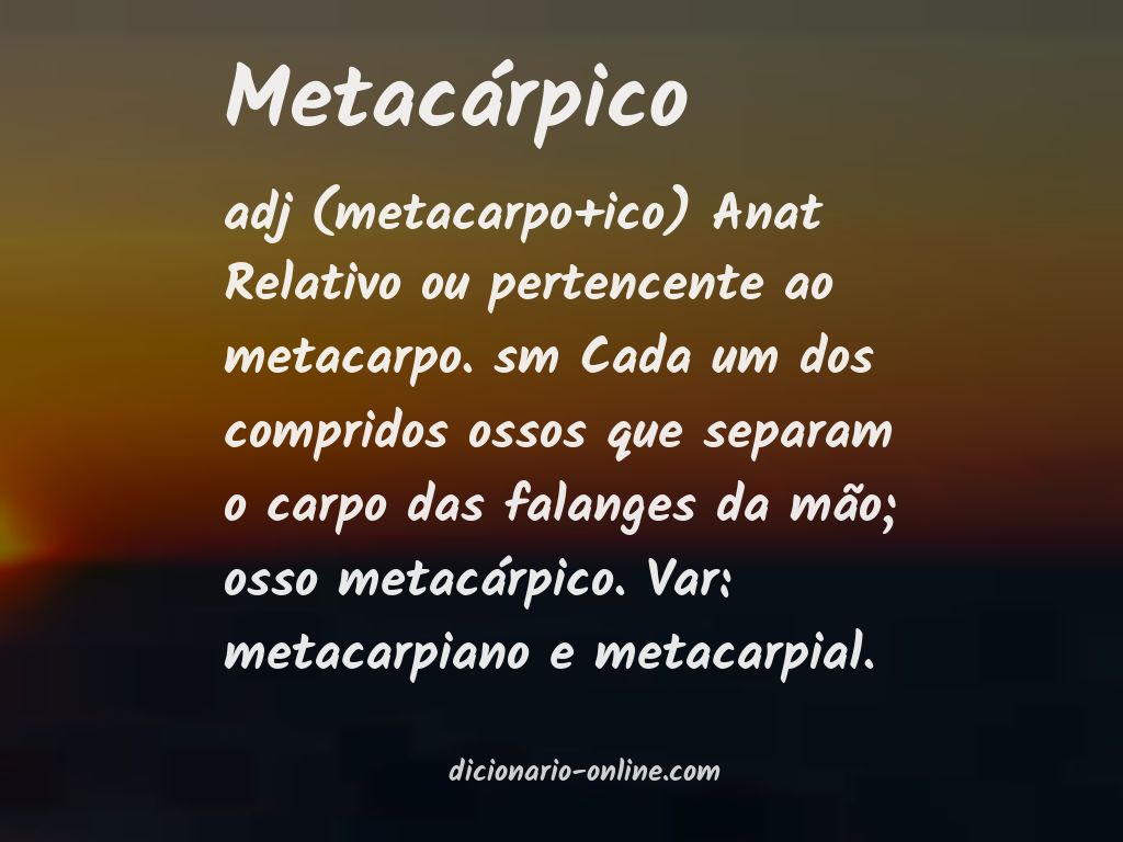 Significado de metacárpico