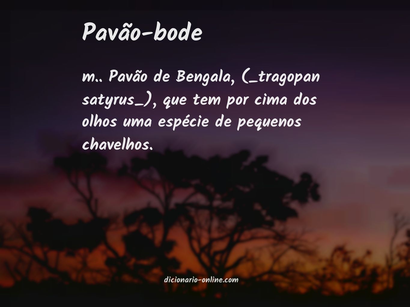 Significado de pavão-bode