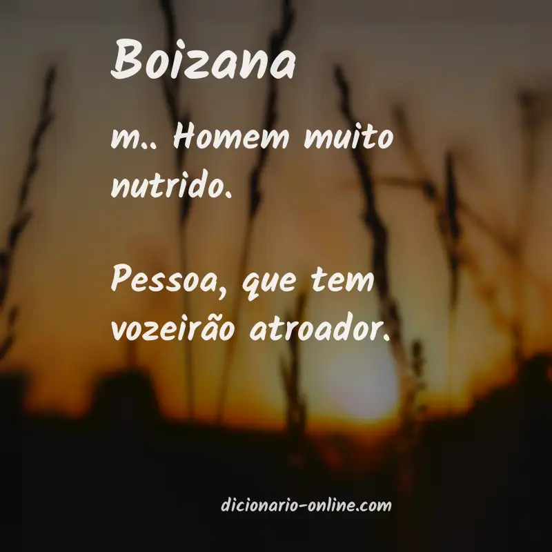 Significado de boizana