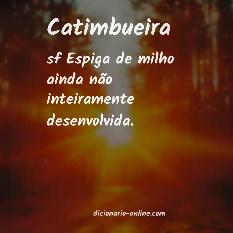 Significado de catimbueira