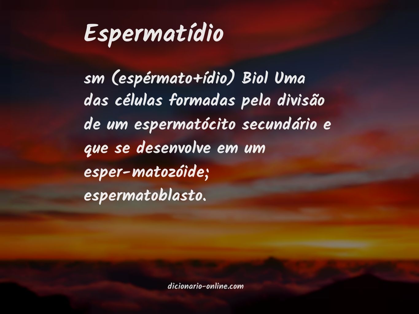 Significado de espermatídio