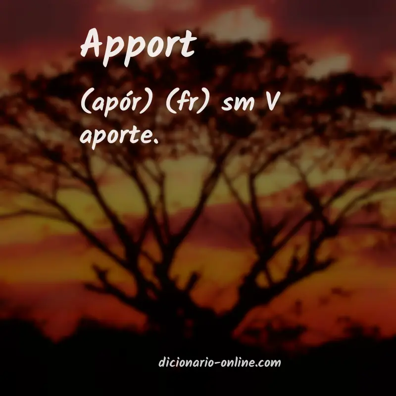Significado de apport