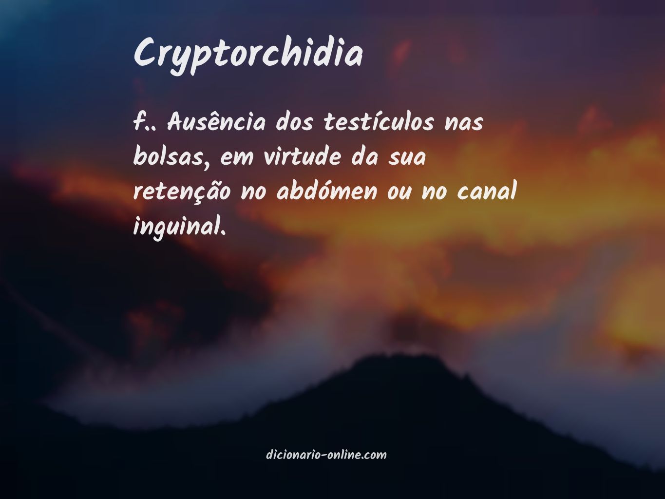 Significado de cryptorchidia