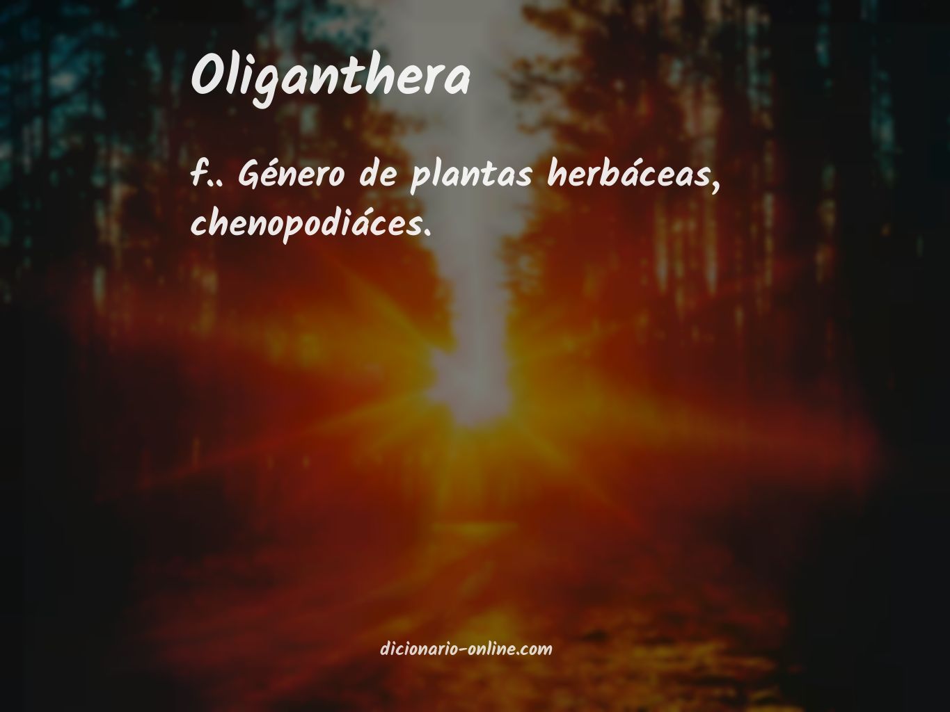 Significado de oliganthera