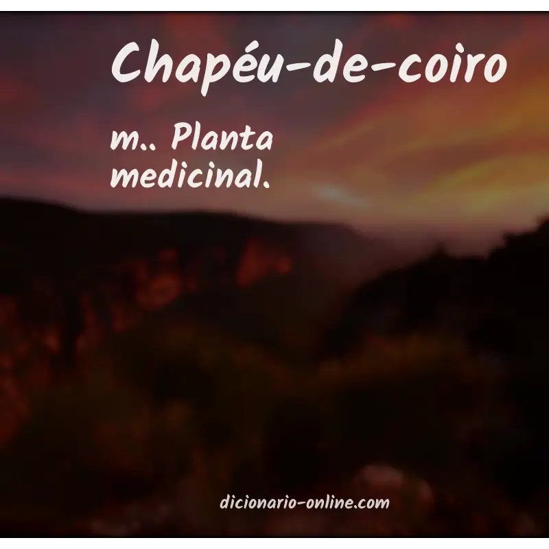 Significado de chapéu-de-coiro