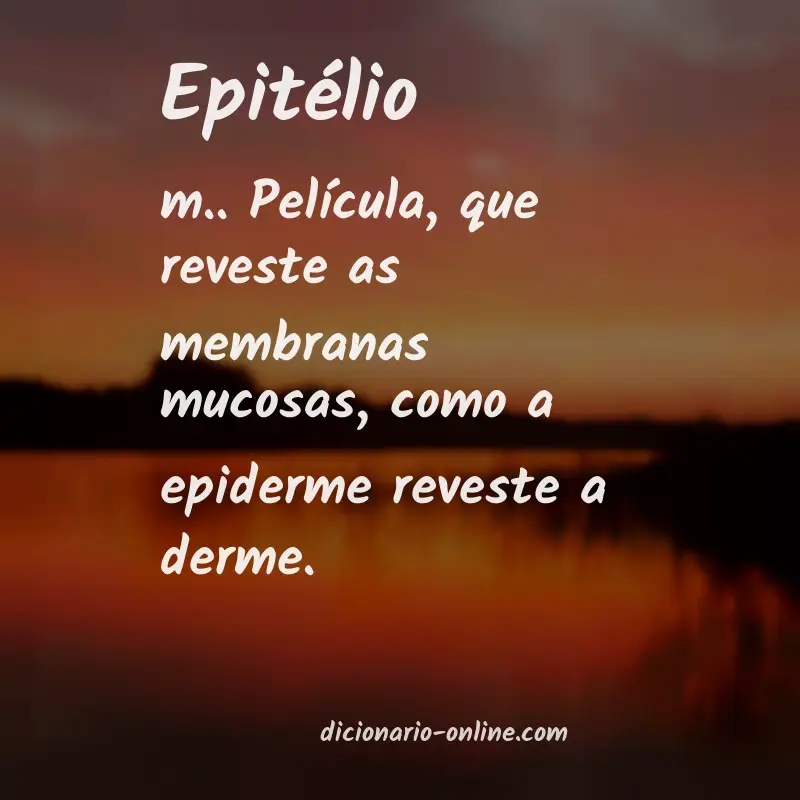 Significado de epitélio