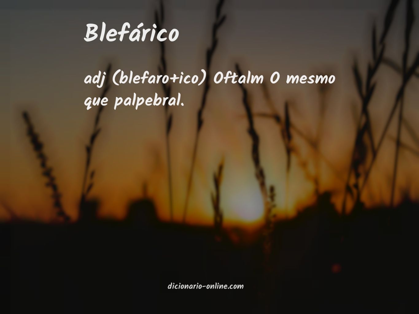 Significado de blefárico