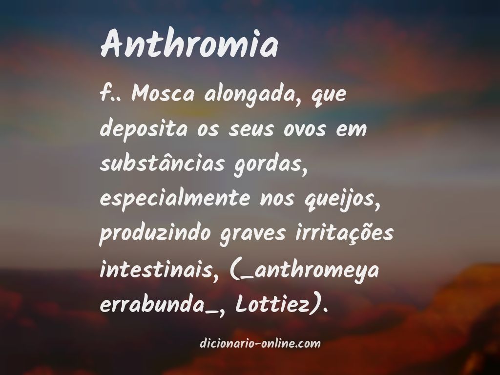 Significado de anthromia