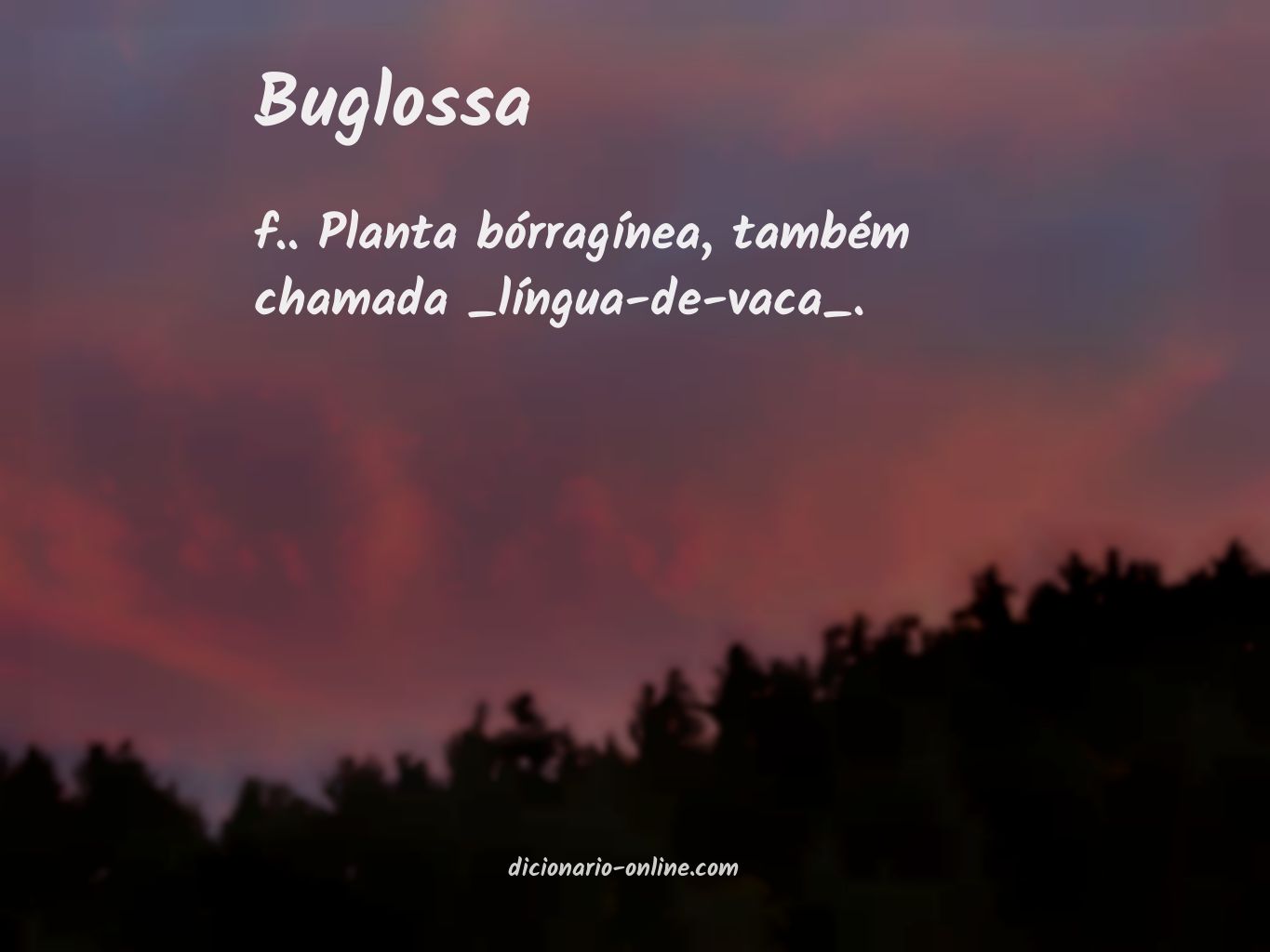 Significado de buglossa