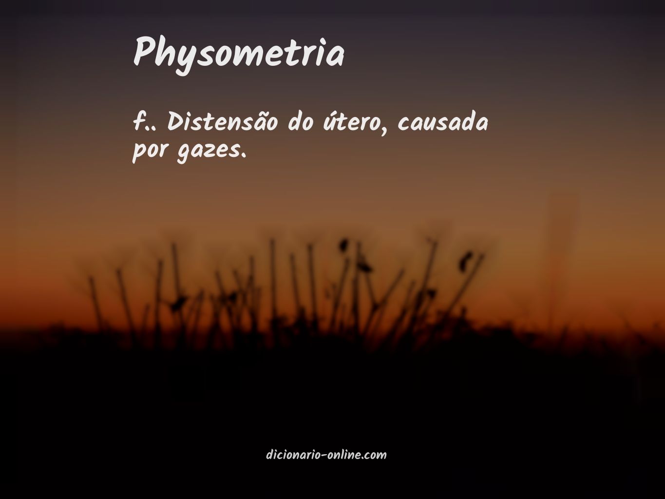 Significado de physometria
