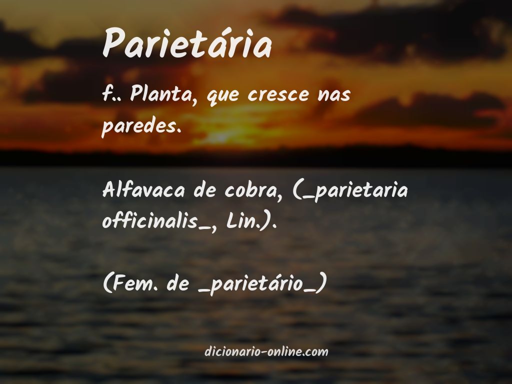 Significado de parietária