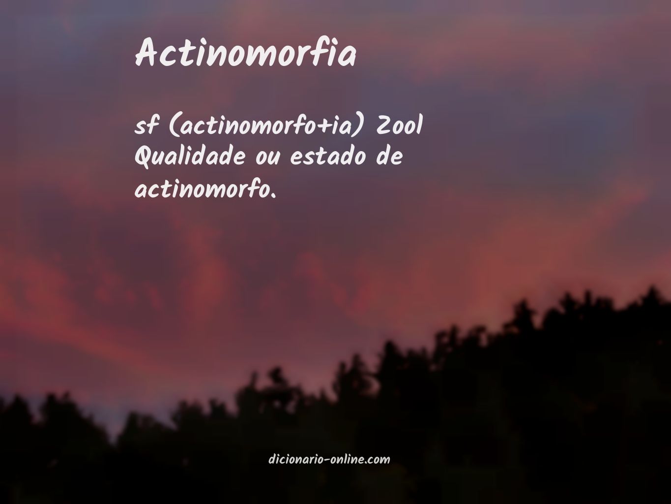 Significado de actinomorfia