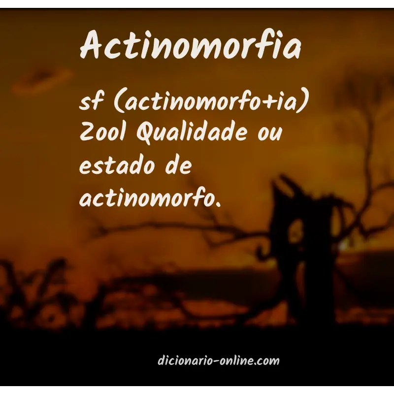 Significado de actinomorfia