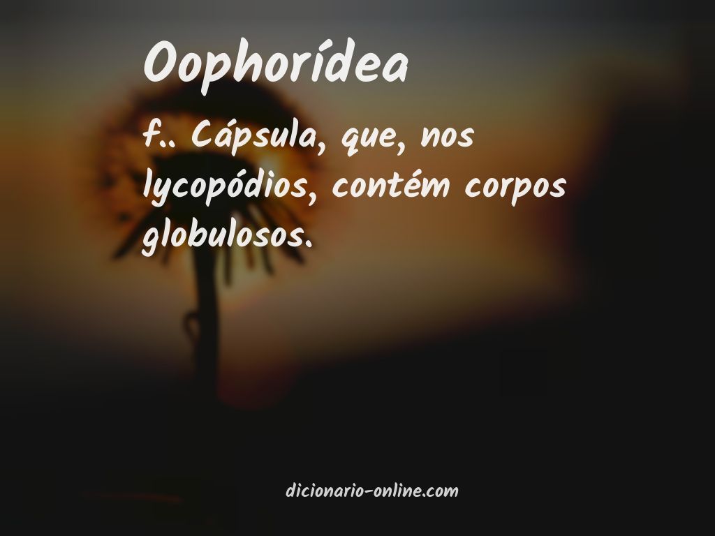 Significado de oophorídea