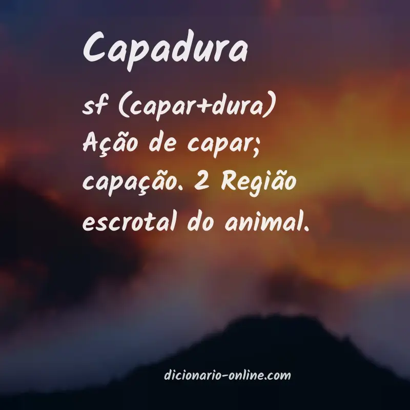 Significado de capadura