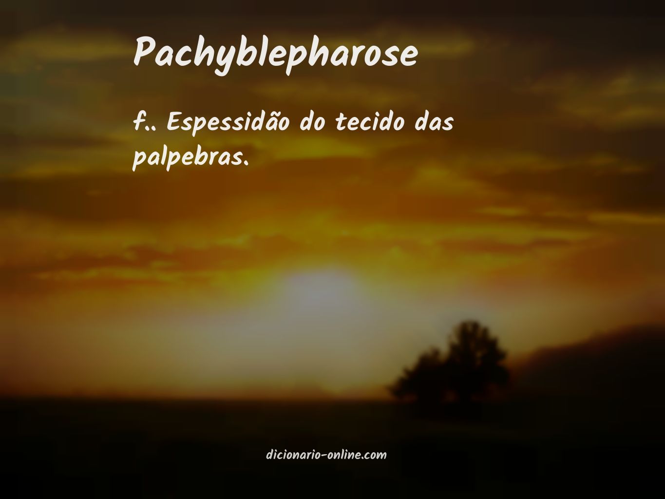 Significado de pachyblepharose